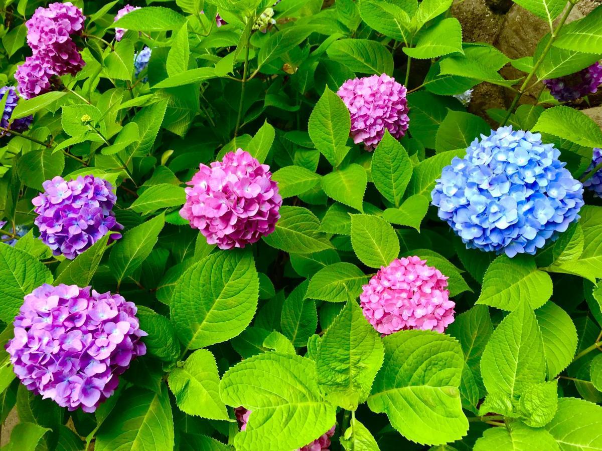 مبيت وإفطار Yamanouchi  藤花楼 Kamakura المظهر الخارجي الصورة